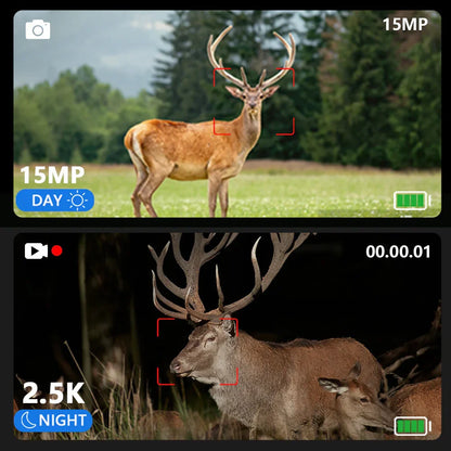 2025 New Hit High-Definition Photo & Video Binoculars for Birdwatching Portable Outdoor Low-Light Full-Color Night Vision Device